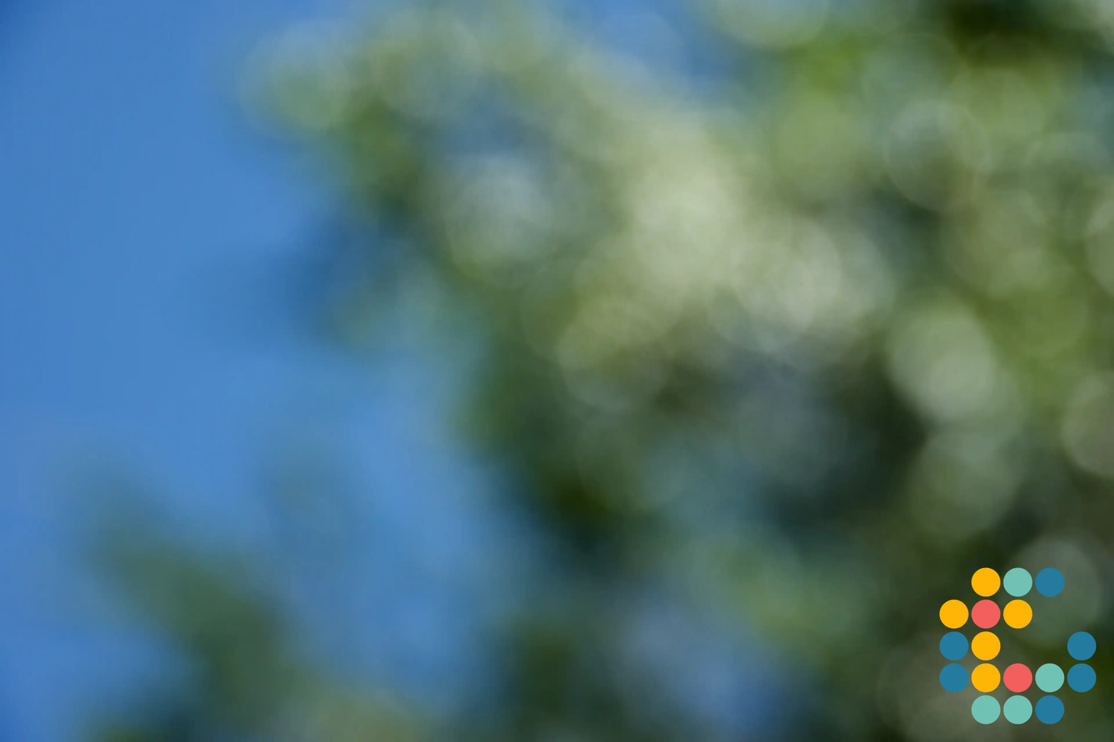 Image with image overlay applied.