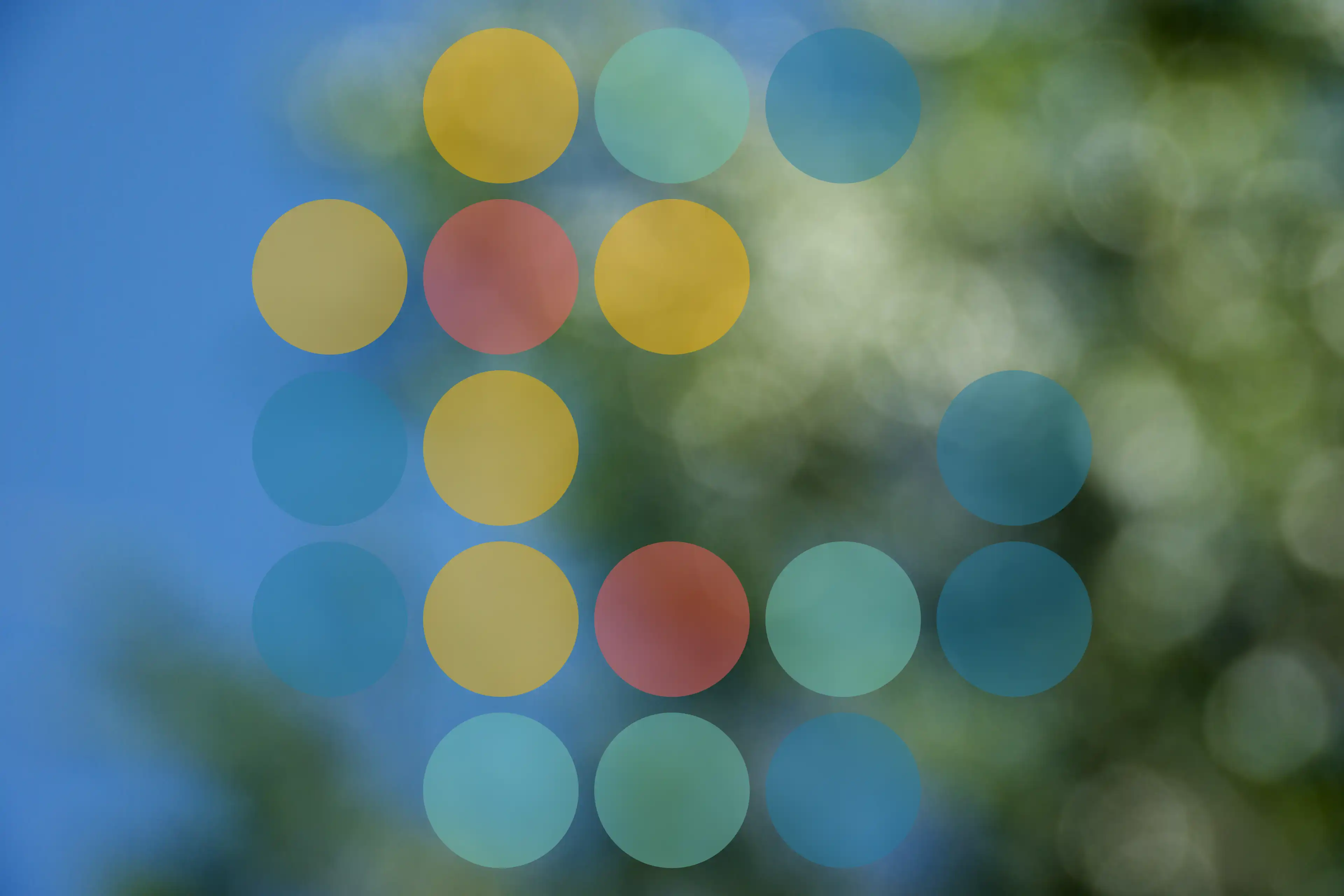 Image with scaled image overlay applied.